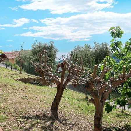Holiday Home Ludovica By Interhome Soldano Exterior foto